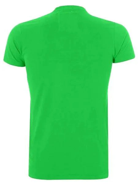 Camiseta Masculina Muscle A State New York Verde